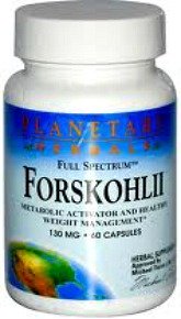 Forskolin Extract